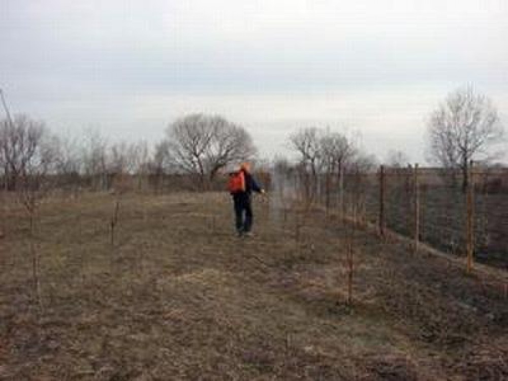 Tratamente fitosanitare recomandate de  specialistii MADR, pentru perioada de repaus vegetativ