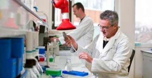 Romvac a lansat un tratament revolutionar pentru infectii. Fermierii care l-au testat au anuntat vindecarea rapida a animalelor