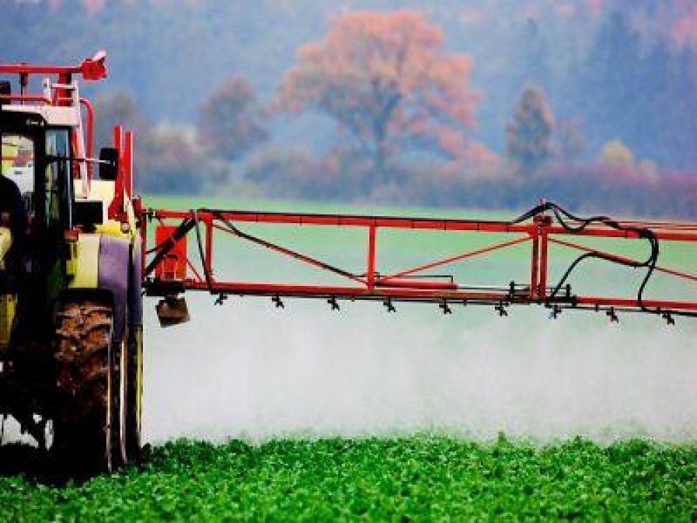 Fermierii romani nu dispun de o varianta alternativa pentru utilizarea neonicotinoidelor