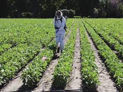 tot-ce-trebuie-sa-stie-un-agricultor-despre-fungicide