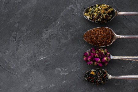 Radacina de tataneasa. Tratamente si precautii