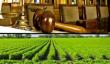 Schimbari in legislatia agricola. Apar trei noi legi