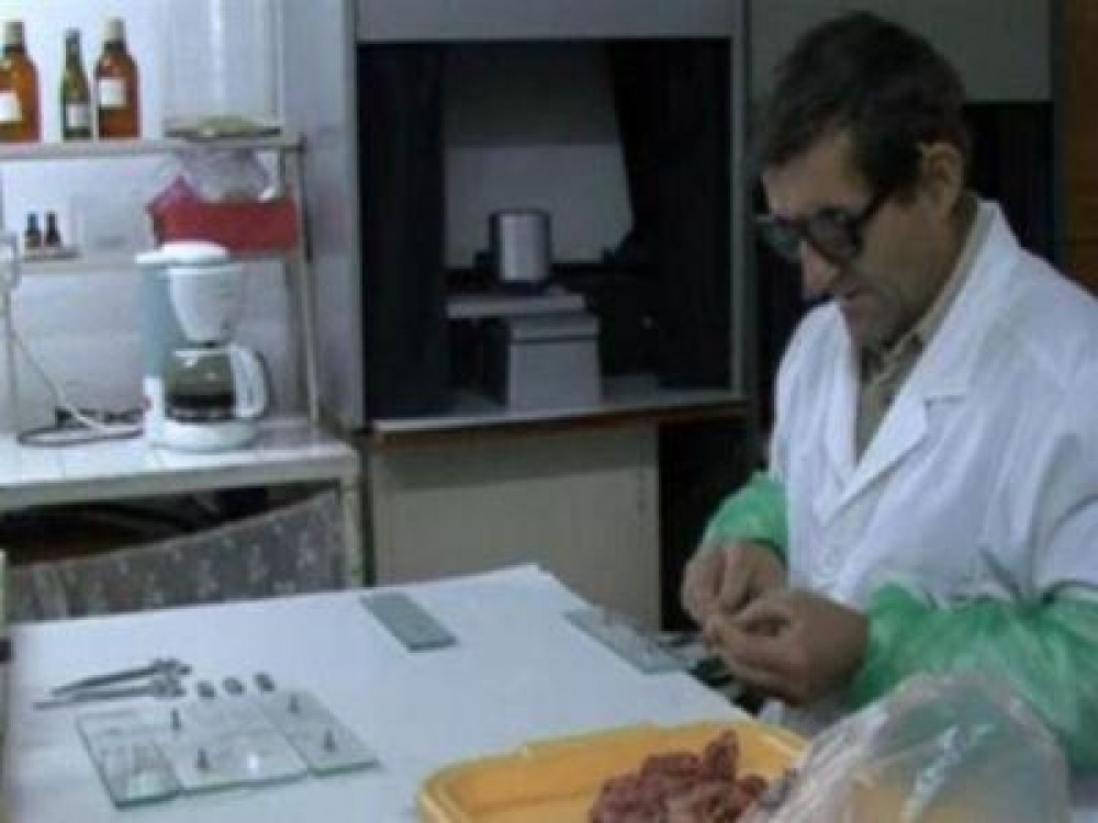 ASNSVA a inceput pregatirile pentru testarile trichineloscopice din preajma Sarbatorilor
