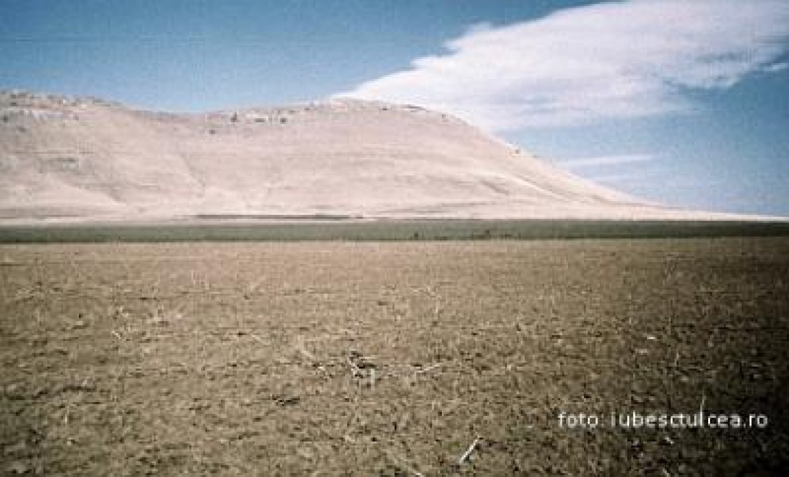 Culturile de grau din judetul Tulcea,  intarzieri in dezvoltarea plantelor