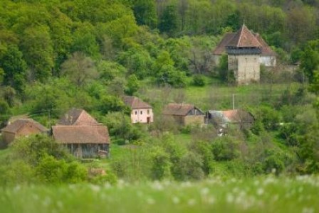 INS arata ca in pensiuni si hoteluri au fost mai multi turisti