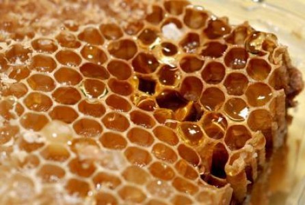 Apicultorii cer TVA de 9% la miere