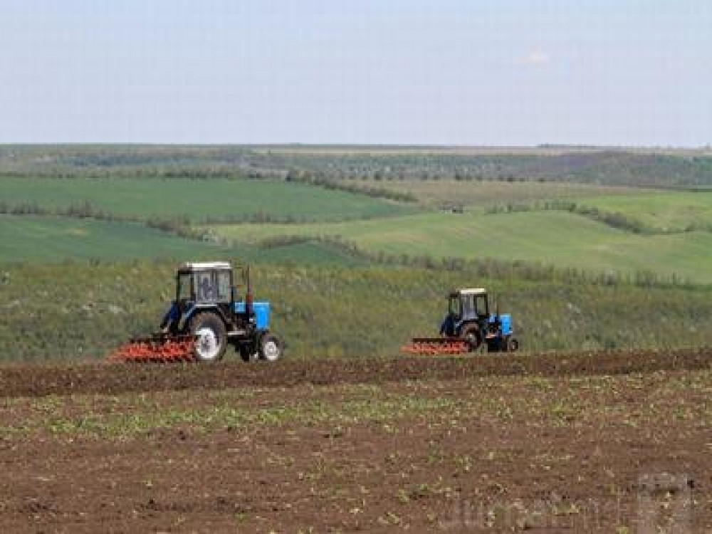 Proiect de scadere a cotei TVA pentru inca opt servicii si lucrari din agricultura