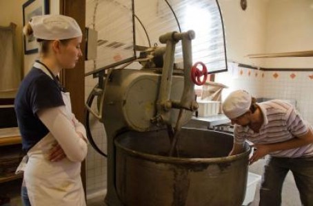 Investitii de peste jumatate de miliard de euro in industria de morarit si panificatie