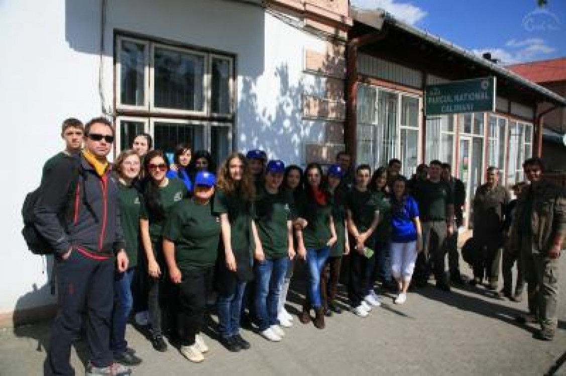Studentii de la Universitatea Stefan cel Mare din Suceava au plantat puieti in Parcul National Calimani