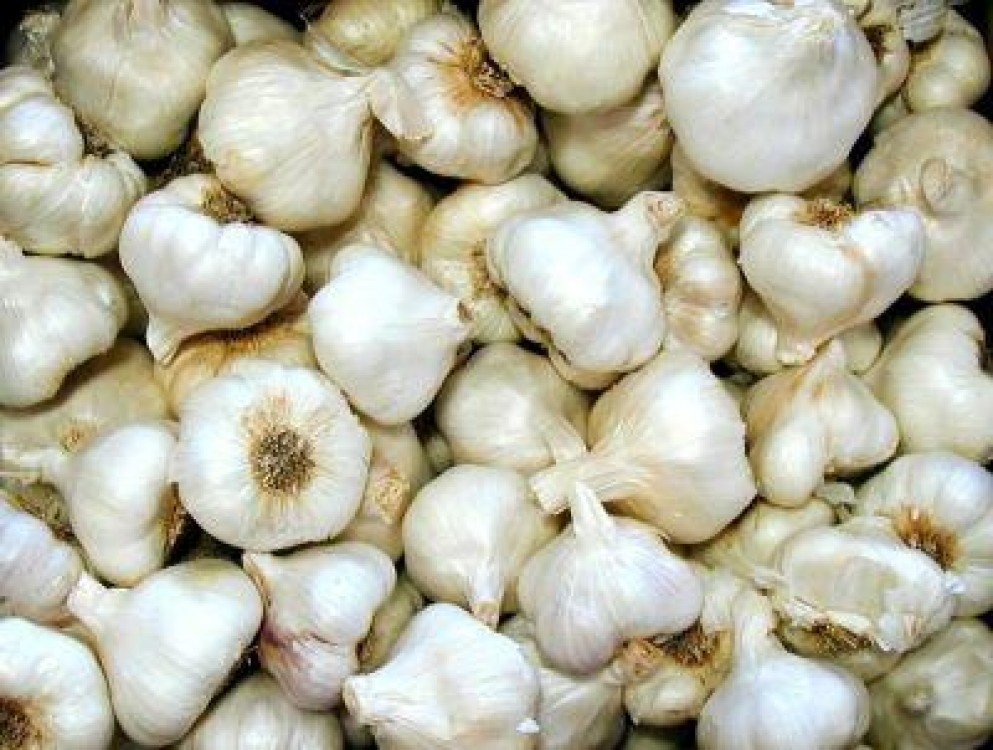 Unde mai gasesti in tara usturoi romanesc