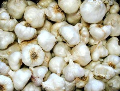 Unde mai gasesti in tara usturoi romanesc