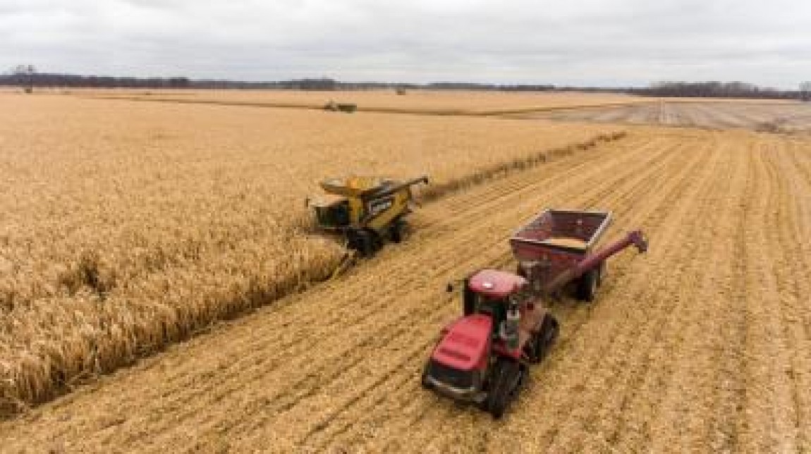 Agricultura in 2020. Utilaje agricole si tehnologie moderna.