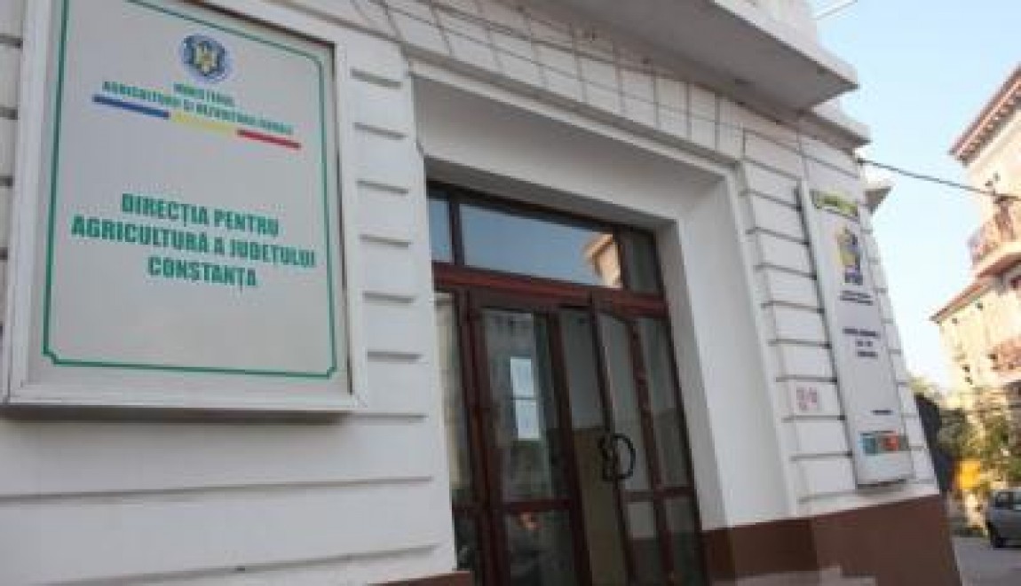 Fostul sef al DAJ Constanta, condamnat la inchisoare cu executare