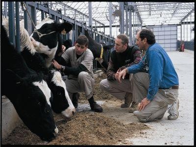 Noi boli impotriva carora fermierii sunt obligati sa isi vaccineze animalele