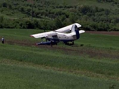 Controverse intre ANSVSA si Pro-Agro, pe marginea vaccinului impotriva bolii limbii albastre