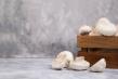 Valoarea terapeutica a ciupercilor champignon