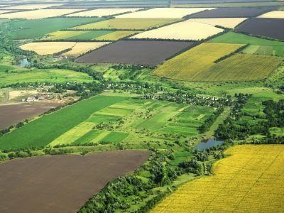 Statele memebre UE au capatat dreptul de a limita vanzarile de terenuri agricole