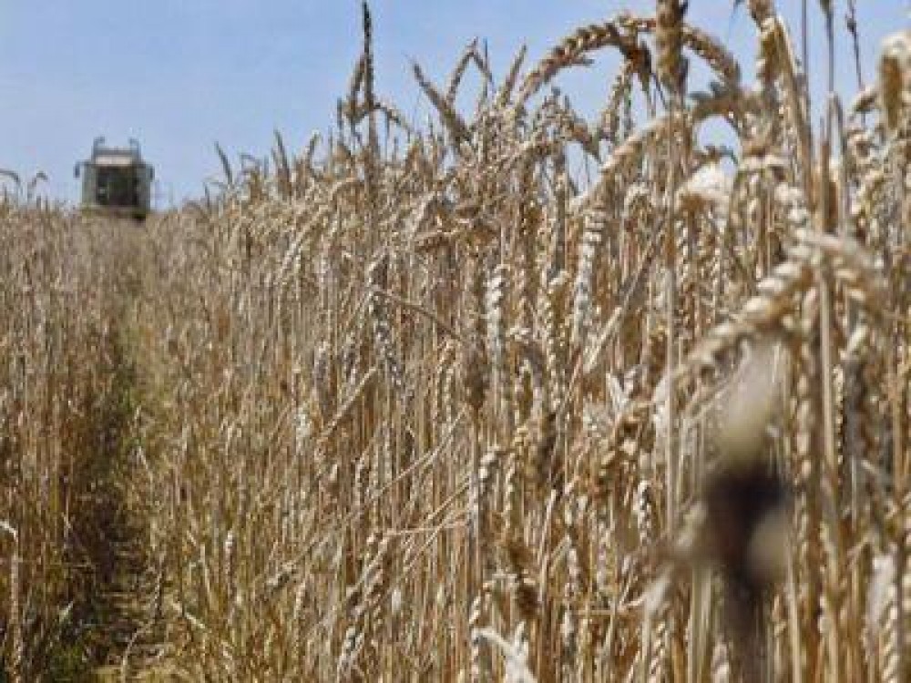 Buletin agrometeorologic pentru perioada 11-17 iulie