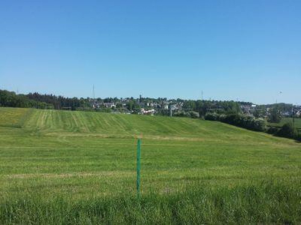 Buletin agrometeorologic pentru perioada 15-21 iunie