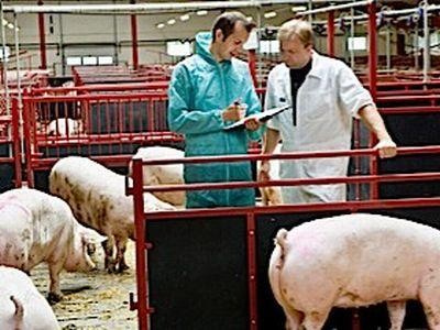Luni este Ziua Nationala a Medicului Veterinar