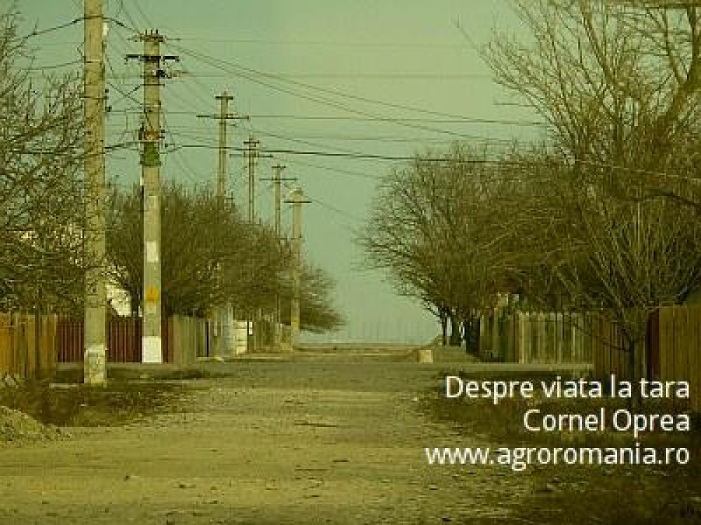 Cateva cuvinte despre agricultura de subzistenta si inceputul sfarsitului