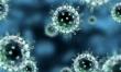 Virusul gripei porcine AH1N1 face o noua victima in Vietnam