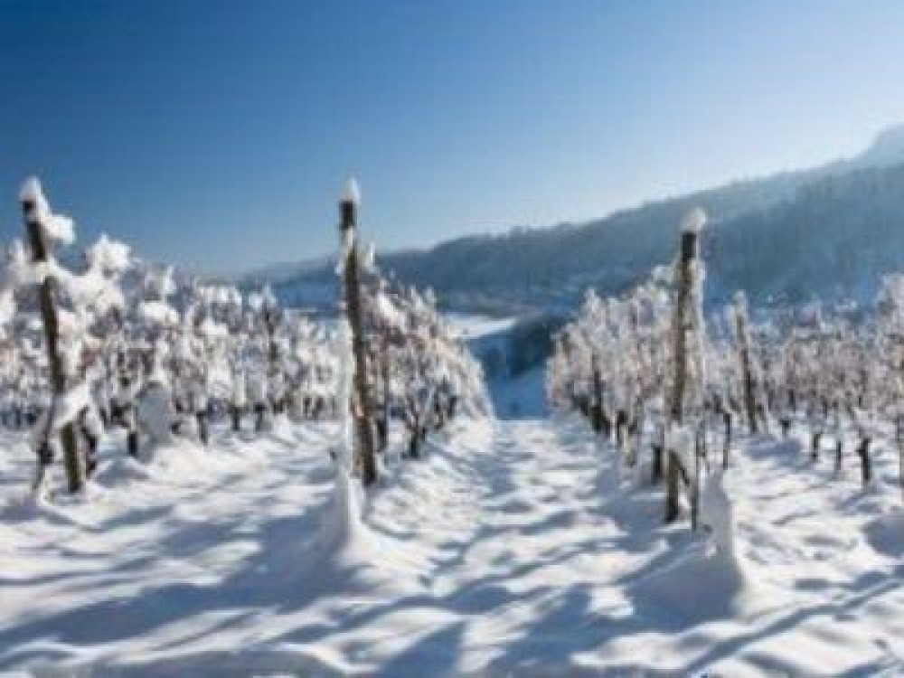 Buletin agrometeorologic pentru perioada 16-20 ianuarie