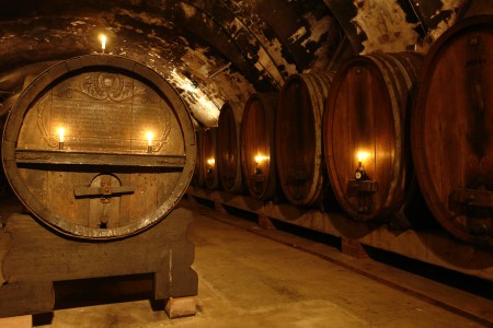 Producatorii romani de vin vor sa achizitioneze struguri din Republica Moldova