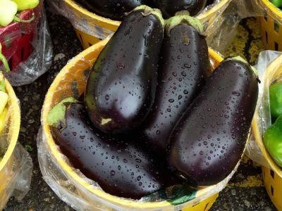 Tehnologia de productie a vinetelor in camp