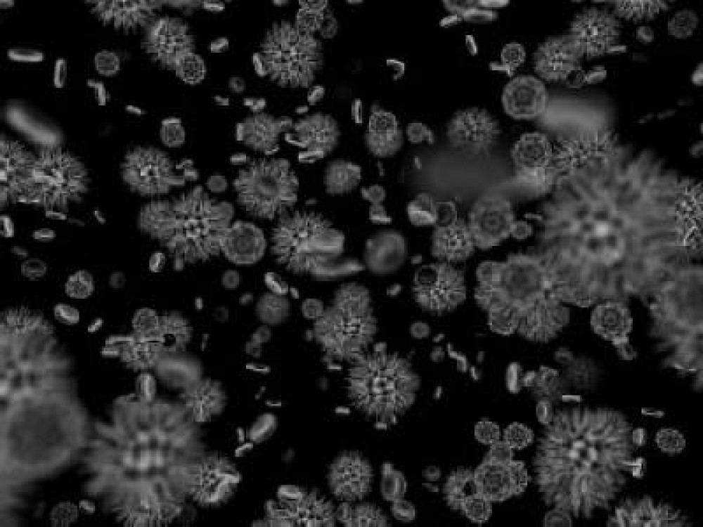 Cercetatorii au gasit o solutie pentru impiedicarea extinderii virusului H5N1