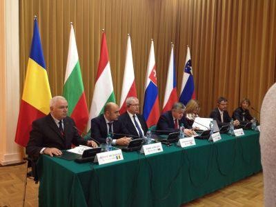 Romania sustine mentinerea platilor pe suprafata si dupa anul 2020