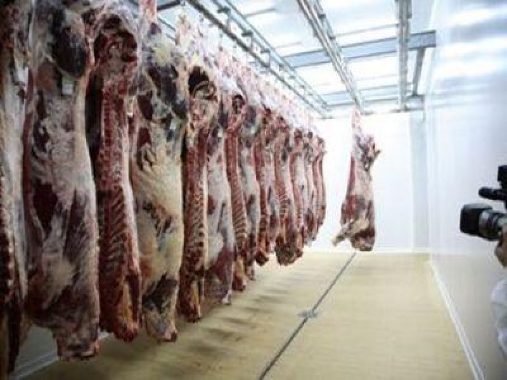 Rusia a interzis importurile de bovine si carne de vita din Romania