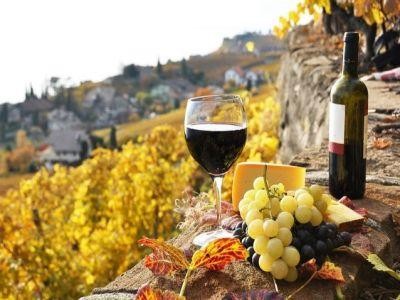 Finantari de 240 de milioane de euro din bani europeni, pentru sectorul vitivinicol
