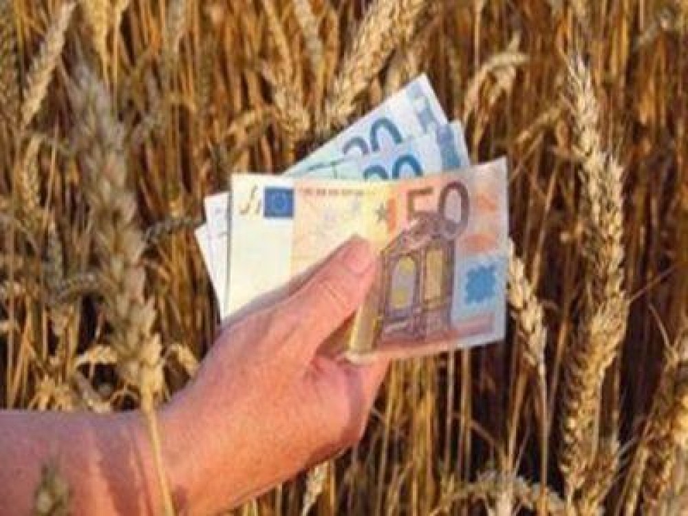 Anul acesta, fermierii nu vor mai avea nevoie de credite de la banci