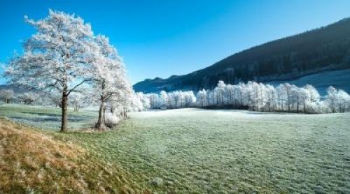 Prognoza agrometeorologica pentru perioada 17-23 decembrie 2020