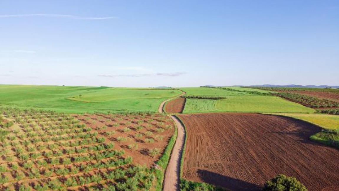 Prognoza agrometeorologica 3 - 9 septembrie 2024. Lucrarile agricole specifice campaniei de toamna se vor efectua pe ansamblu in conditii bune