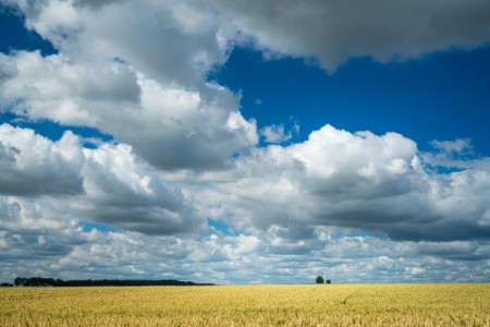 Prognoza agrometeorologica 20 - 26 august 2024. Conditiile agrometeorologice vor permite desfasurarea lucrarilor agricole de sezon