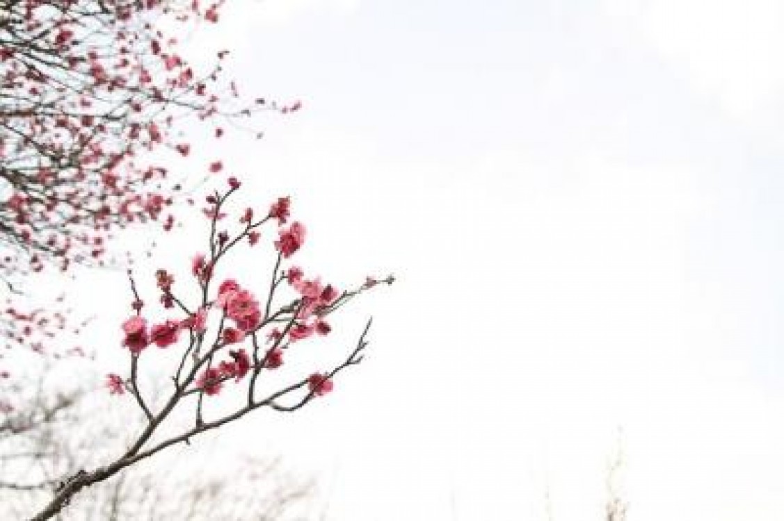 Prognoza agrometeorologica pentru 13-19 martie 2021