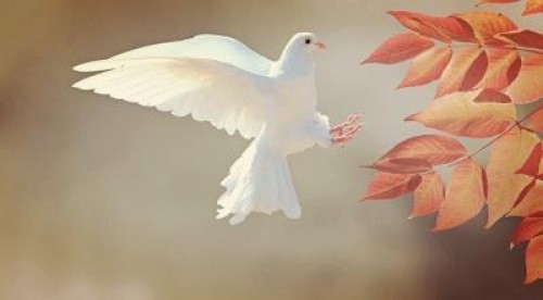 Prognoza agrometeorologica pentru perioada 14 - 20 septembrie