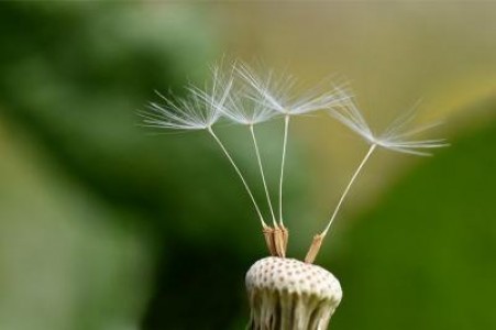 Prognoza agrometeorologica pentru perioada 5-11 martie 2021