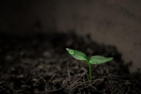 Prognoza agrometeorologica pentru perioada 2-8 iulie 2021