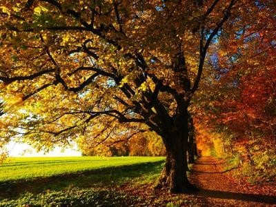 Prognoza agrometeorologica pentru perioada 8-14 septembrie 2021