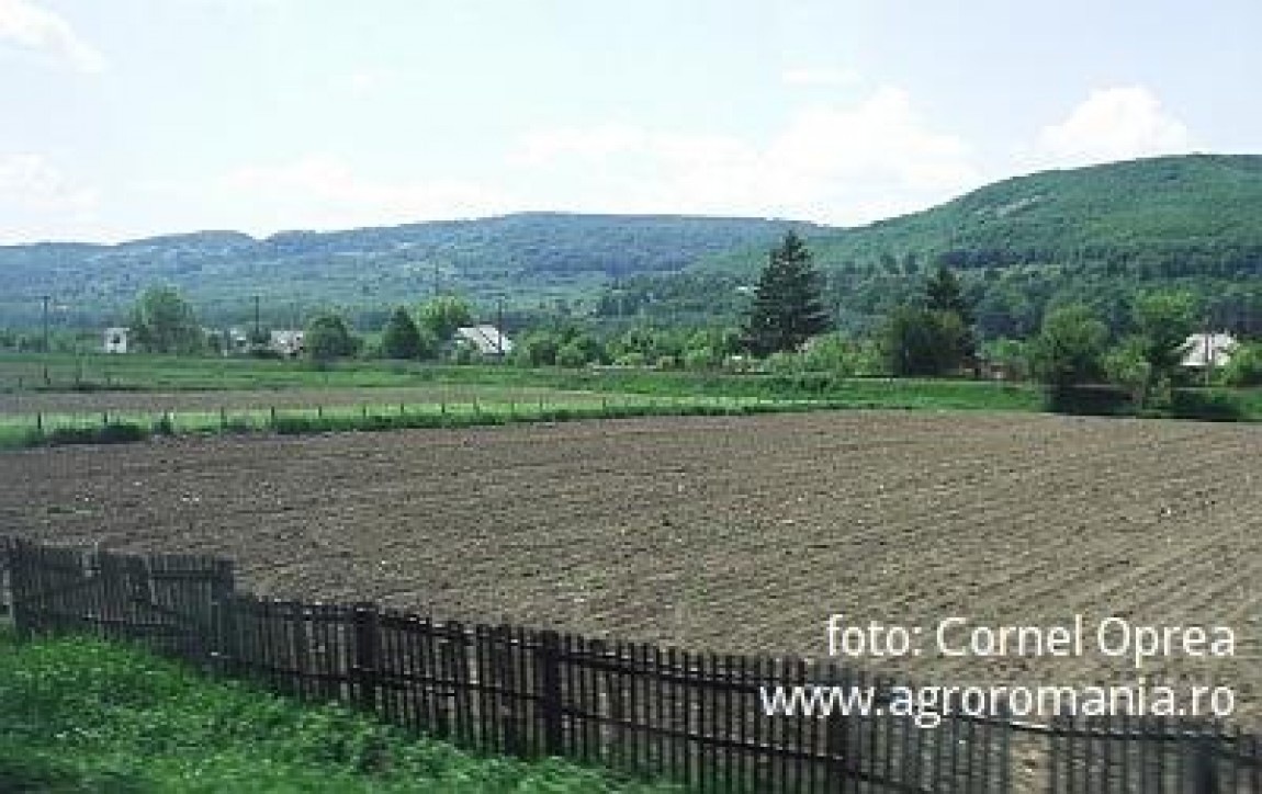 Cum va fi vremea in luna mai si de ce productiile 2012 de porumb si floarea soarelui sunt in pericol