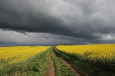 Prognoza agrometeorologica pentru perioada 5-11 septembrie 2020