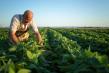 APIA: Avem mai putin cu 36.000 de fermieri fata de 2021