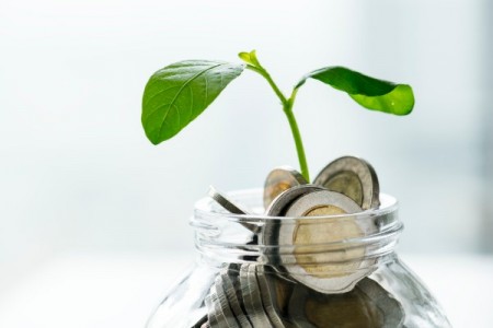 Ministrul Agriculturii: Nu avem niciun eurocent in PNRR