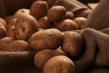 Guvernul a aprobat noua subventie de 15 milioane de lei pentru cultivatorii de cartofi