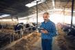 Fermierii din Romania nu mai au acces la achizitionarea furajelor