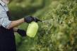 Romania trebuie sa reduca cu 35% consumul de pesticide