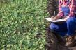 Micii fermieri au termen limita pentru subventia APIA
